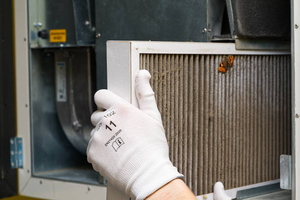 Best HVAC System Cleaning  in Sargent, TX