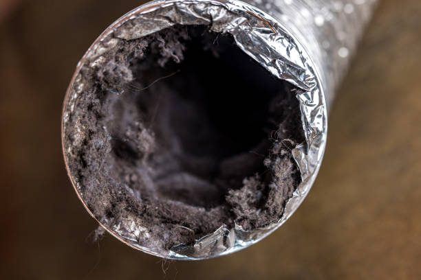 Best Home Air Vent Cleaning  in Sargent, TX